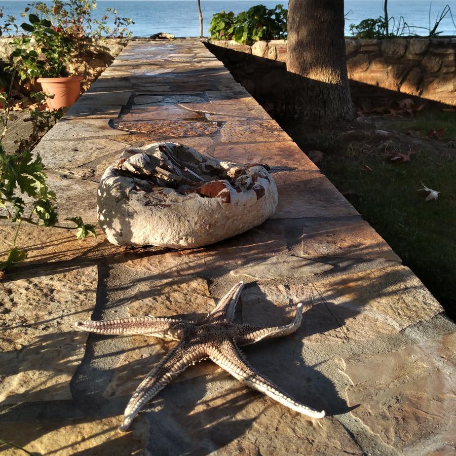 Mangata Seaside Hotel Rovies Exterior foto